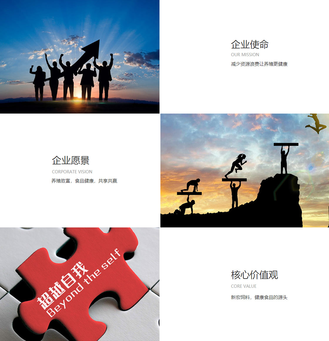 开云ky(图1)